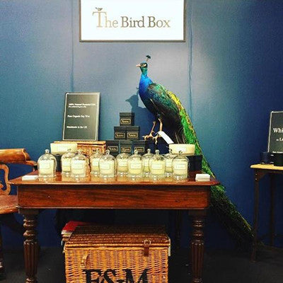 The Bird Box at Top Drawer London